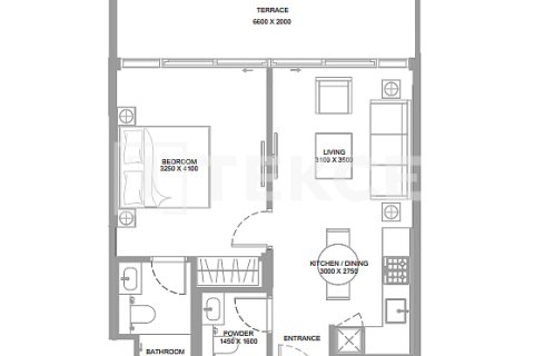 Apartment de 1 dormitorio en Umm Al Quwain, UAE No. 127021 11