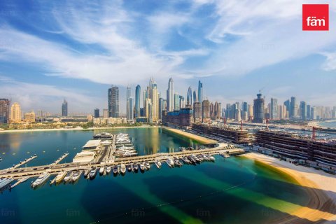 3 bedrooms Apartment in Dubai Harbour, UAE No. 215961 19