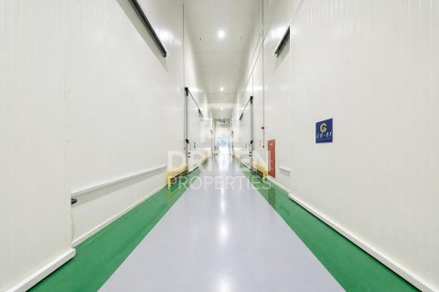 Warehouse de 6427.03m² en Jebel Ali, UAE No. 212916 14