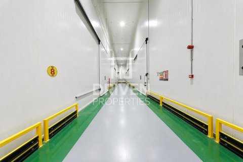 Warehouse de 6427.03m² en Jebel Ali, UAE No. 212916 13