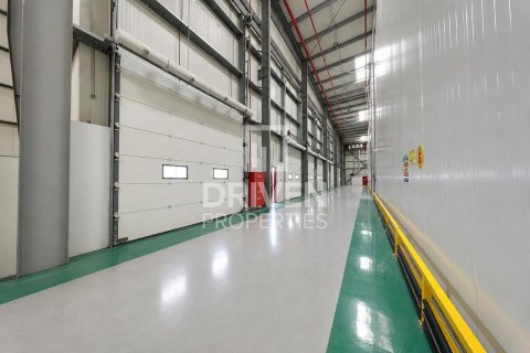 Warehouse de 6427.03m² en Jebel Ali, UAE No. 212916 12