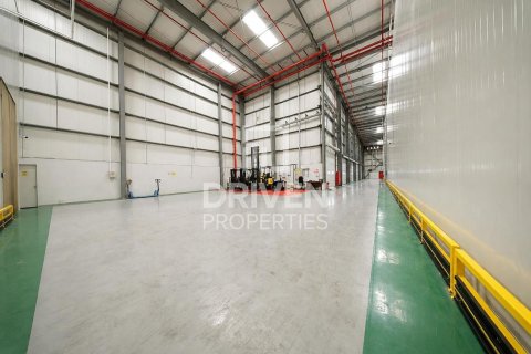 Warehouse de 6427.03m² en Jebel Ali, UAE No. 212916 10