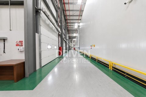 Warehouse de 6427.03m² en Jebel Ali, UAE No. 212916 11