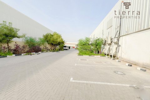 1031.2مربع، مستودع في Phase 2, الإمارات العربية المتحدة رقم 47672 4