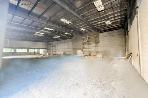 1031.2مربع، مستودع في Phase 2, الإمارات العربية المتحدة رقم 47672 3