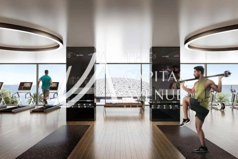 2 غرف نوم شقة على Saadiyat Cultural District, الإمارات العربية المتحدة رقم 218932 9