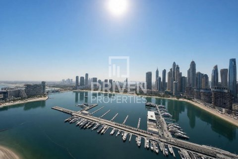 4 bedrooms Penthouse in EMAAR Beachfront, UAE No. 223055 27