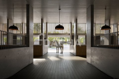 Villa de 4 chambres à Dubai Investment Park, UAE No. 207775 11