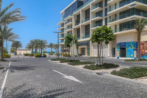 2 غرف نوم تاون هاوس على Saadiyat Cultural District, الإمارات العربية المتحدة رقم 36781 25