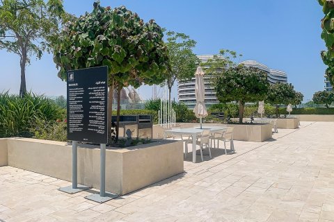 2 غرف نوم تاون هاوس على Saadiyat Cultural District, الإمارات العربية المتحدة رقم 36781 17