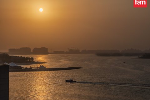 2 bedrooms Apartment in Dubai Harbour, UAE No. 216933 17