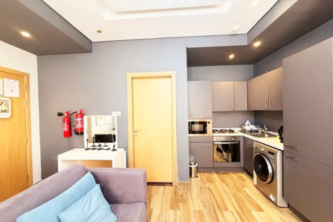 41m² Apartment in Dubai, UAE No. 217183 3
