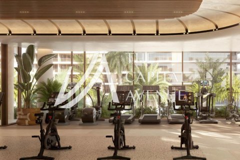 2 غرف نوم شقة على Saadiyat Cultural District, الإمارات العربية المتحدة رقم 218940 13