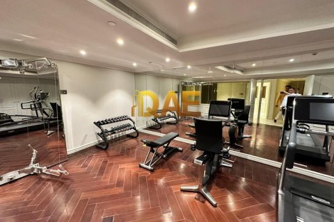 7 bedrooms Villa in The World Islands, UAE No. 7182 8