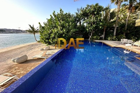 7 bedrooms Villa in The World Islands, UAE No. 7182 13