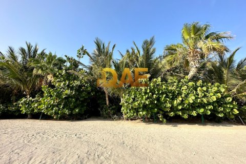 7 bedrooms Villa in The World Islands, UAE No. 7182 3