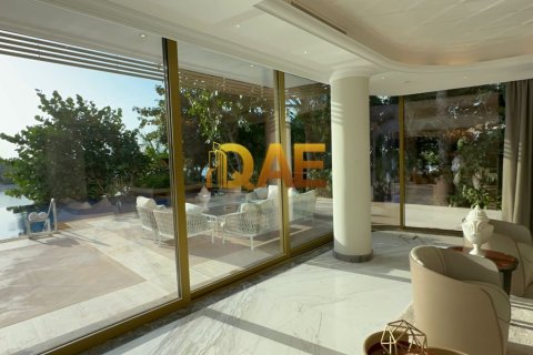 7 bedrooms Villa in The World Islands, UAE No. 7182 23