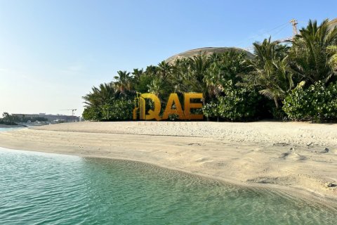 7 bedrooms Villa in The World Islands, UAE No. 7182 31