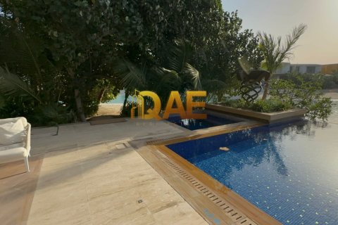 7 bedrooms Villa in The World Islands, UAE No. 7182 10