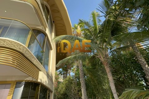 7 bedrooms Villa in The World Islands, UAE No. 7182 4