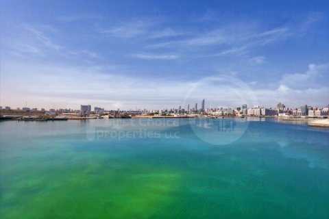 2 bedrooms Apartment in Al Reem Island, UAE No. 13179 11