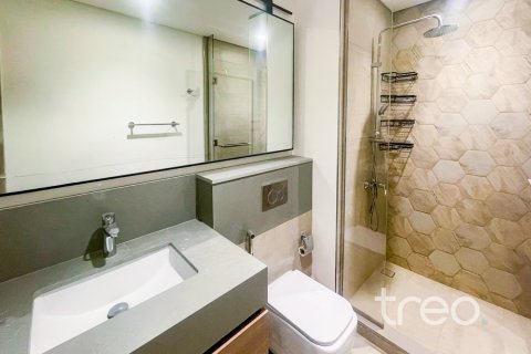 3 bedrooms Townhouse in The Valley, UAE No. 220951 9