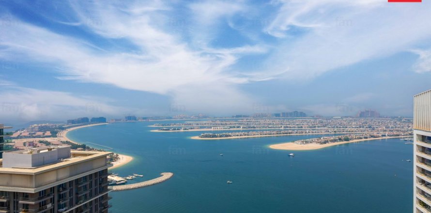 3 غرف نوم شقة في Dubai Harbour, الإمارات العربية المتحدة رقم 213826