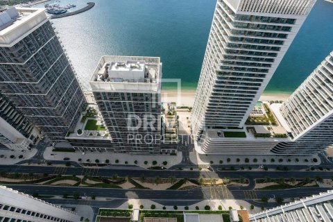 4 bedrooms Apartment in EMAAR Beachfront, UAE No. 204797 28
