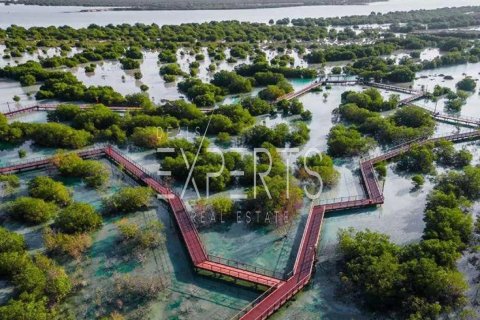 704m² Land in Al Hudayriat Island, UAE No. 219239