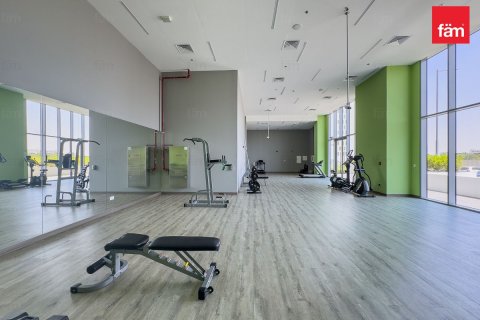 2 bedrooms Apartment in Dubai, UAE No. 226705 15