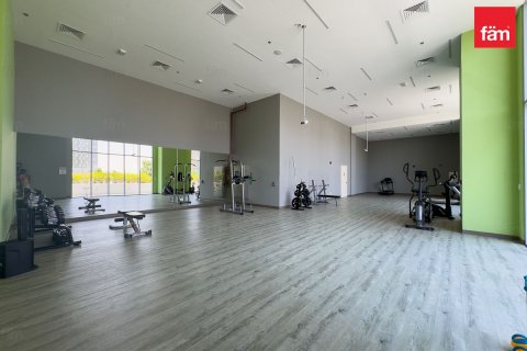 2 bedrooms Apartment in Dubai, UAE No. 226705 16