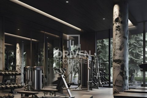 Studio Apartment in Jumeirah Village Triangle, UAE No. 211922 10