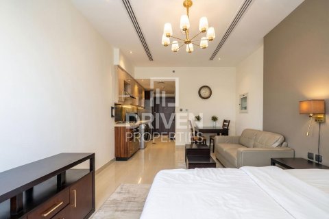 Studio Apartment in Downtown Dubai (Downtown Burj Dubai), UAE No. 211782 8