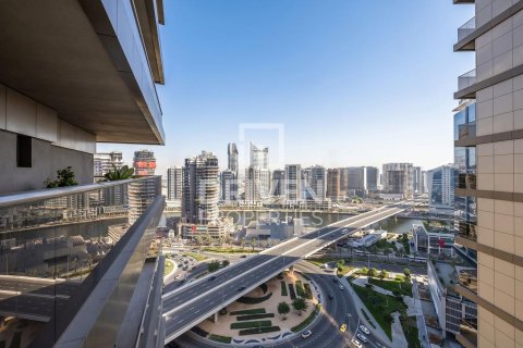 Studio Apartment in Downtown Dubai (Downtown Burj Dubai), UAE No. 211782 14