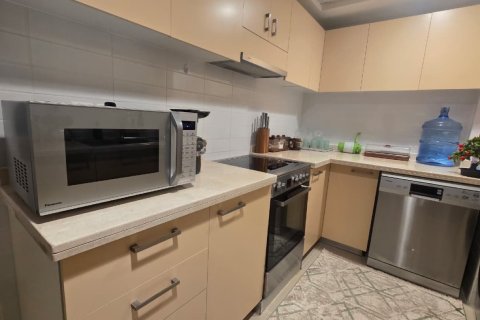Appartement de 1 chambre à Ras Al Khaimah, UAE No. 184016 14