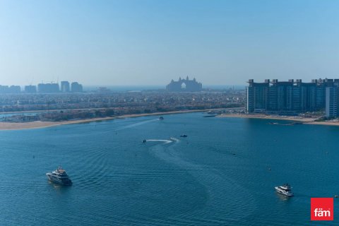 3 bedrooms Apartment in Dubai Harbour, UAE No. 215874 19