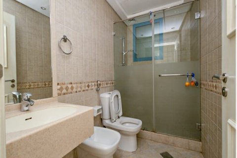 Таунхаус с 2 спальнями в Falcon City of Wonders, ОАЭ №163454 4