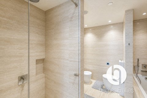 Квартира с 2 спальнями в Даунтаун Дубай (Даунтаун Бурдж Дубай), ОАЭ №167336 19