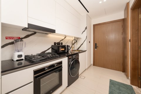 Appartement de Studio à Business Bay, UAE No. 207530 7