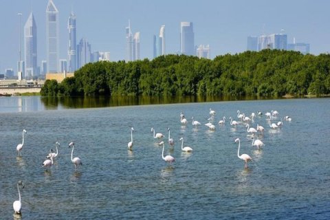 Apartment de 1 dormitorio en Ras Al Khor, UAE No. 184398 8