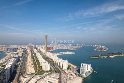 4 غرف نوم شقة في نخلة جميرا, الإمارات العربية المتحدة رقم 45549 20