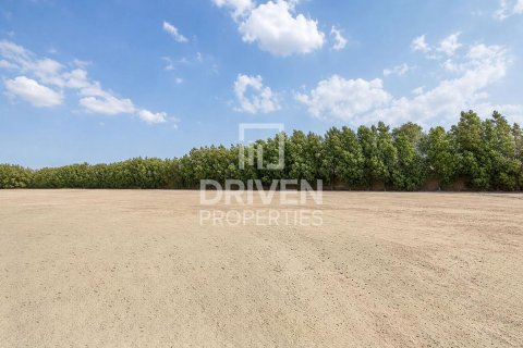 588.35m² Land in District One, UAE No. 221273 13