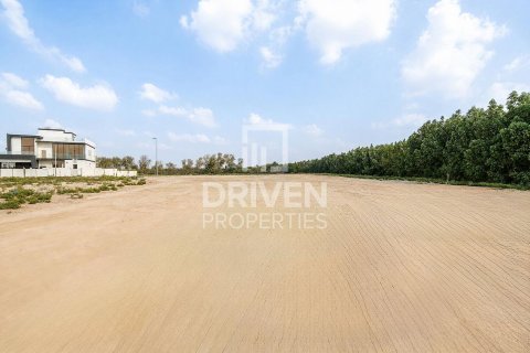 588.35m² Land in District One, UAE No. 221273 5