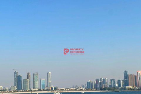 Apartment de 1 dormitorio en Palm Jumeirah, UAE No. 39646 14