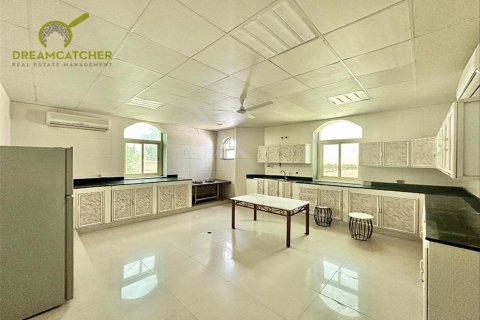 Вилла с 10 спальнями в Seih Al Uraibi, ОАЭ №34126 23