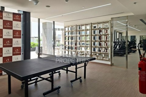 Studio Apartment in Majan, UAE No. 211364 15