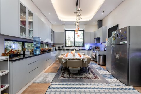 5 bedrooms Villa in Nad Al Sheba 1, UAE No. 167680 25