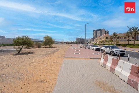 487.2m² Land in Wadi Al Safa 2, UAE No. 215709 7