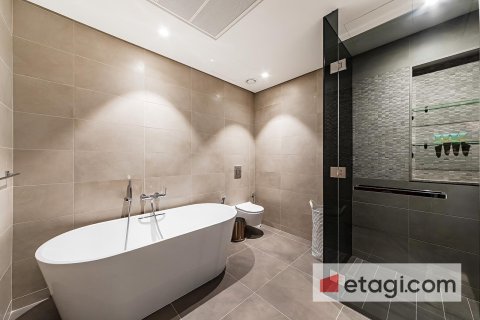 2 bedrooms Apartment in Marina Gate, UAE No. 48040 12
