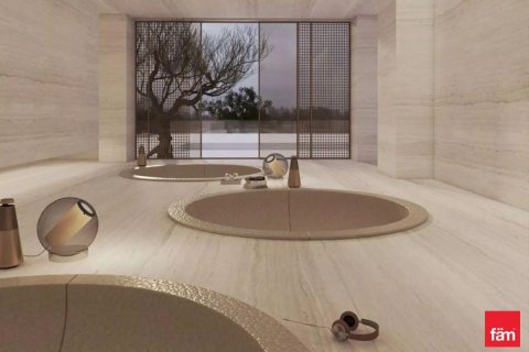 Land de 484.7m² à Dubai, UAE No. 216203 6